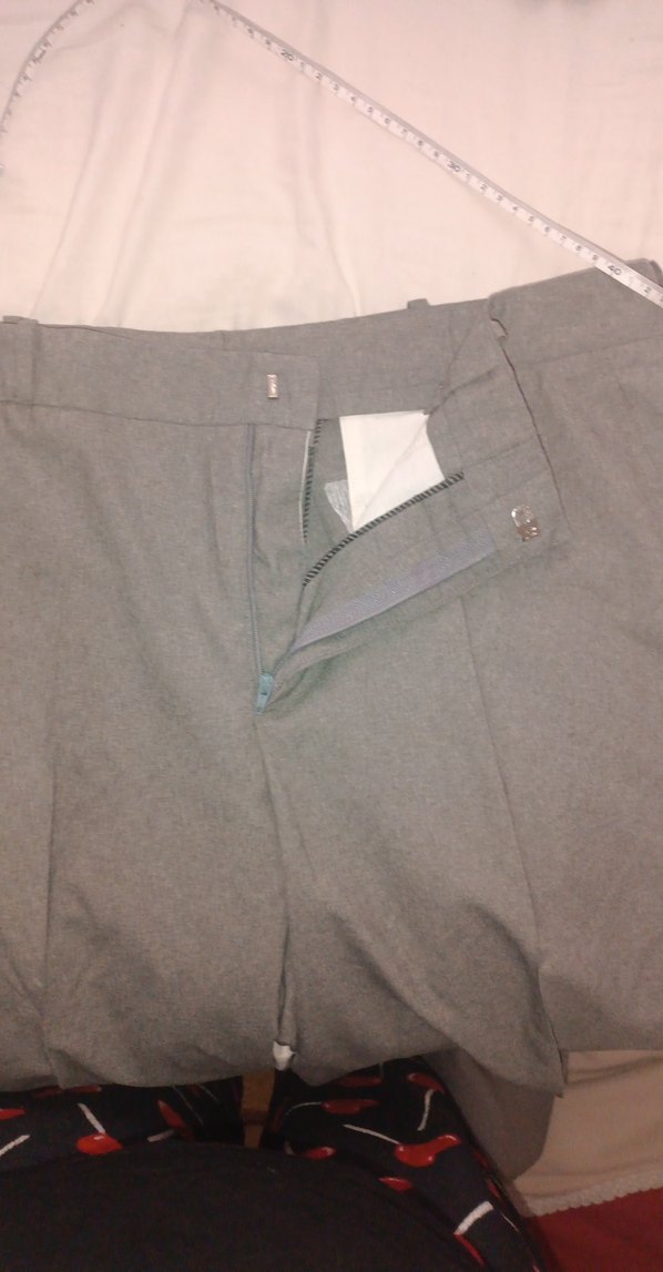 Gri Regular Fit Erkek Pantolon - Görsel 4