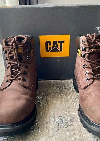 Cat Kahverengi Bagcikli Bot