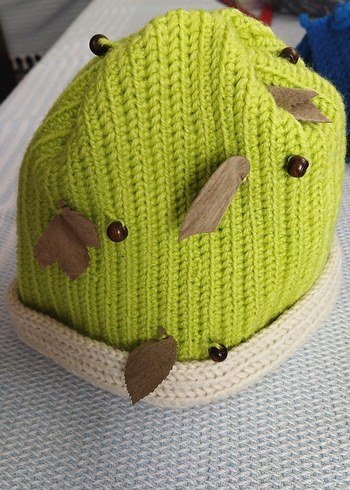 Yeşil Pastel Örgü Kadın Bere - Görsel 2