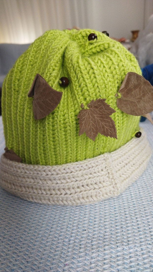 Yeşil Pastel Örgü Kadın Bere - Görsel 3