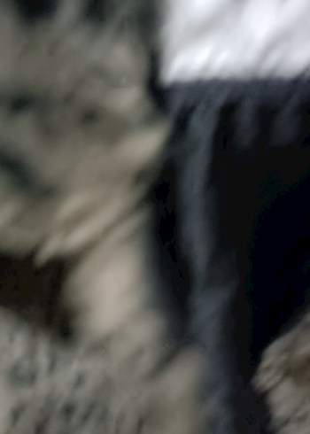 Gri Leopar Desenli Kadın Suni Kürk Ceket - Görsel 2