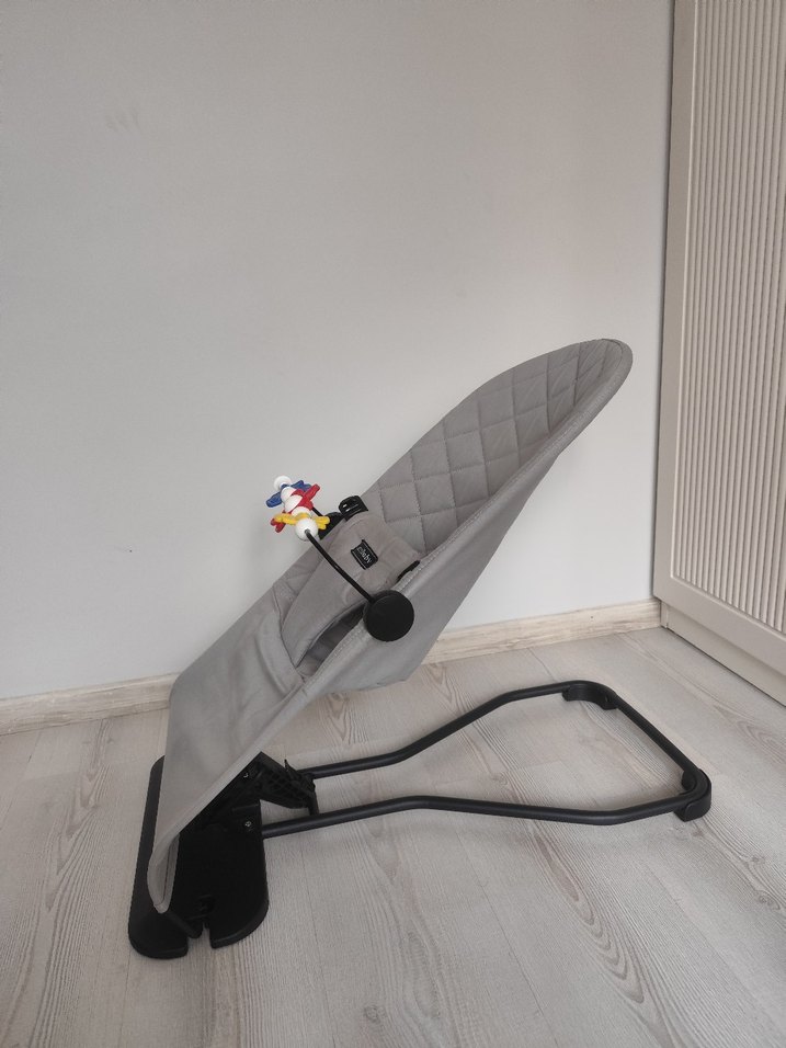 Gri Bebek Ana Kucağı - Görsel 2