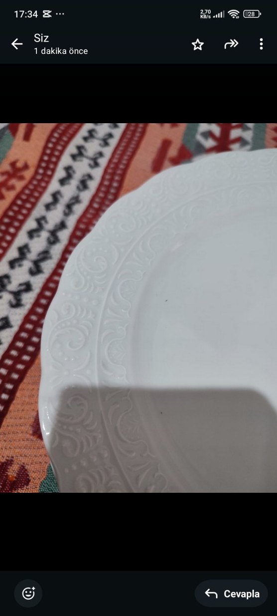 Kutahya Porselen Desenli Beyaz Tabak - Görsel 2