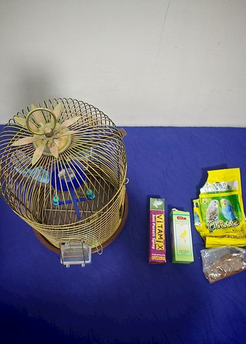 Tertemiz sarı pirinç rengi kuş kafesi - Görsel 5