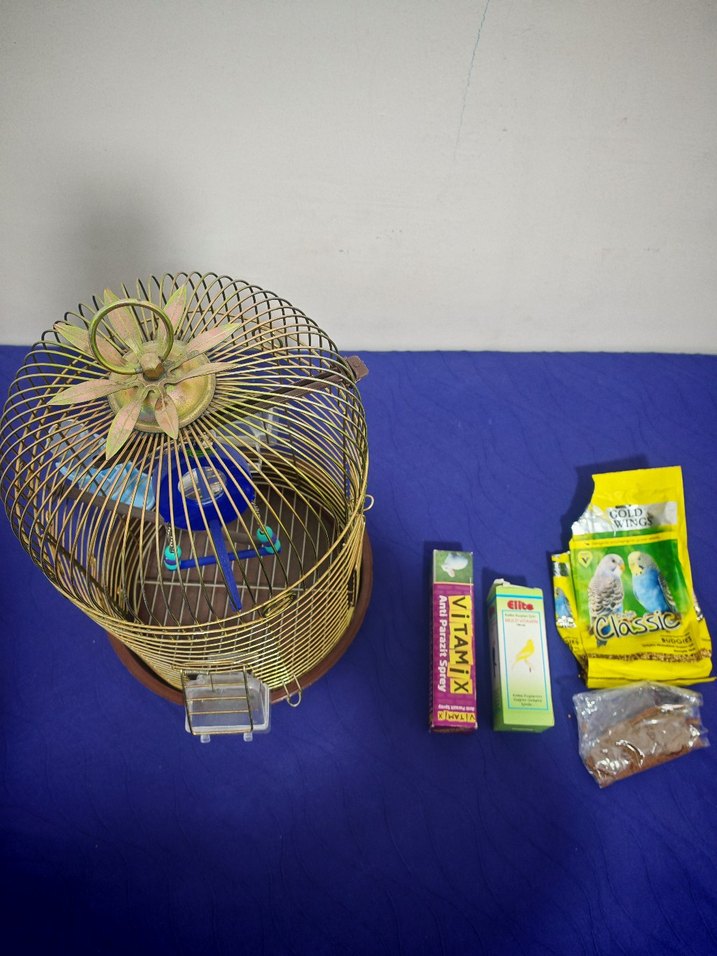 Tertemiz sarı pirinç rengi kuş kafesi - Görsel 5