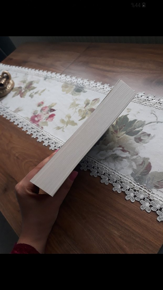 Neredeyse Sıradan Bir Aile - M.T. Edvardsson - Görsel 3