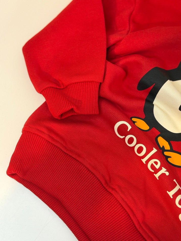 Erkek Çocuk Kırmızı Sweatshirt ve Siyah Eşofman - Görsel 2