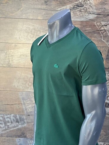 Lacoste V yaka Lacoste basic Tshirt