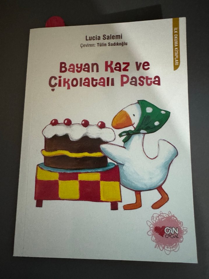 Bayan Kaz ve Çikolatalı Pasta, Deniz Düşleyen Prenses - Görsel 2