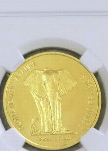 Afrika altini gramı 2.35 bin istiyene getiriyoruz - Görsel 2