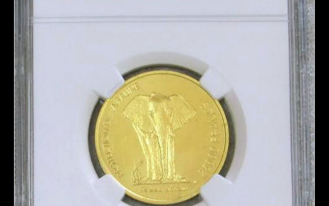 Afrika altini gramı 2.35 bin istiyene getiriyoruz - Görsel 2