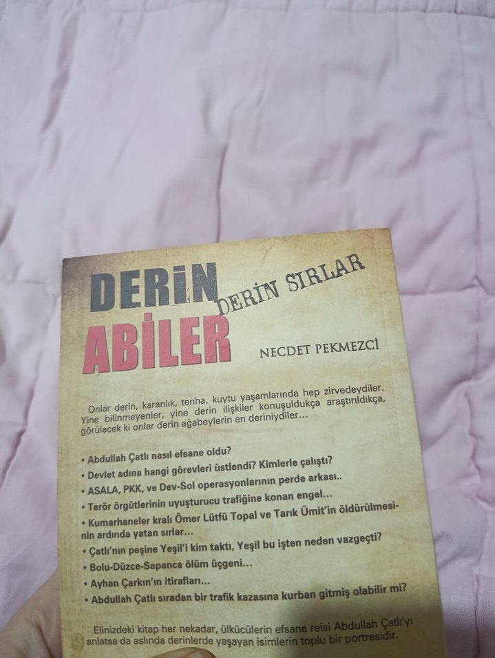 Derin Abiler - Derin Sırlar Romanı - Görsel 2