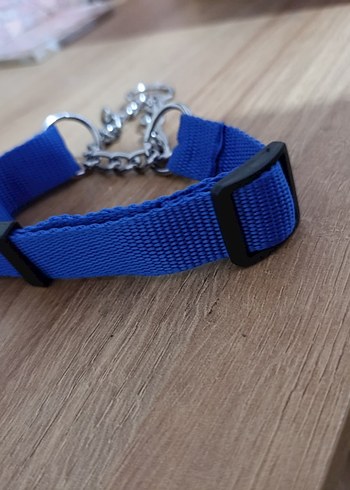 Ayarlanabilir Mavi Köpek Tasması - Görsel 2