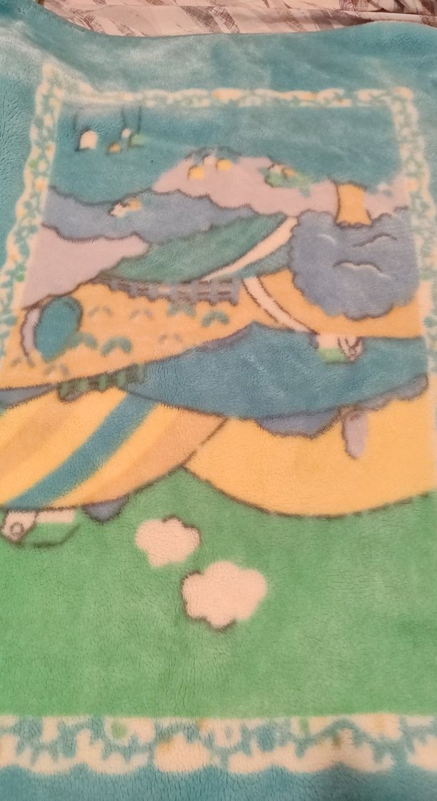 Turkuaz Baskılı Çocuk Battaniyesi - Görsel 2