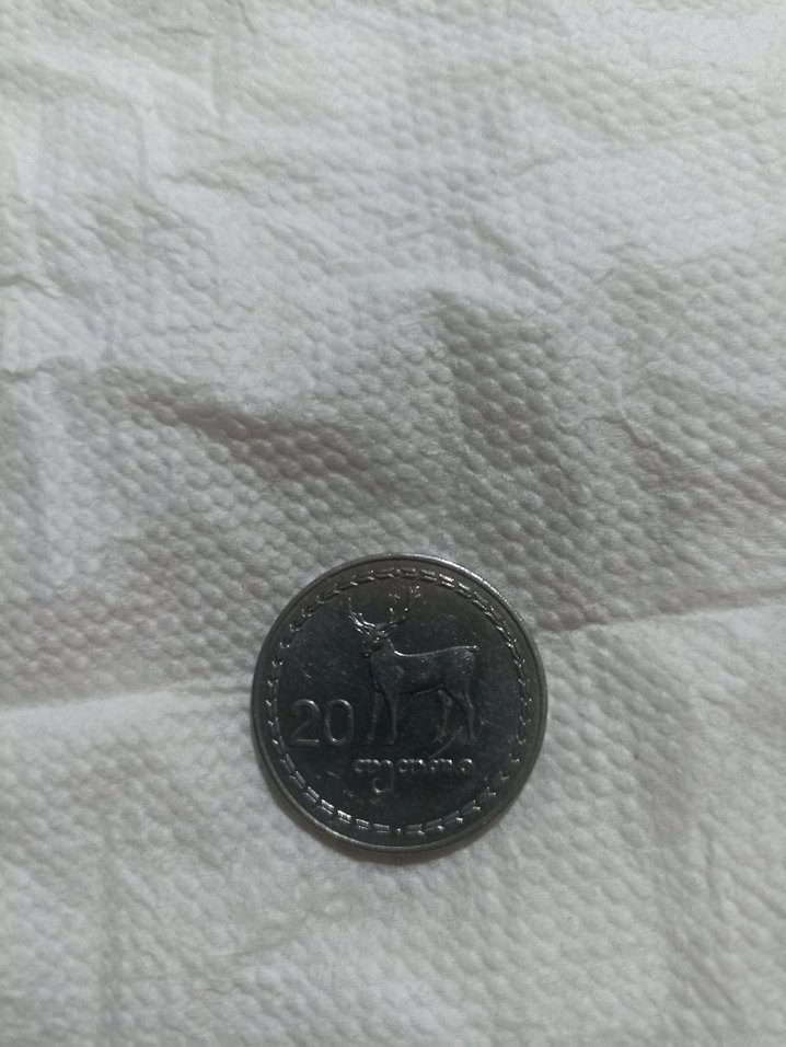 Gürcistan 1993 Vintage Rozet Gri - Görsel 3