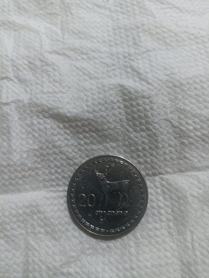 Gürcistan 1993 Vintage Rozet Gri - Görsel 4