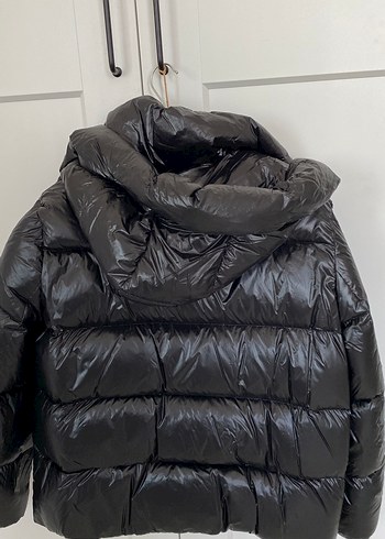 Kaztüyü lufian mont, orijinal - Görsel 4