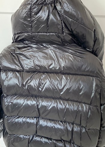 Kaztüyü lufian mont, orijinal - Görsel 5