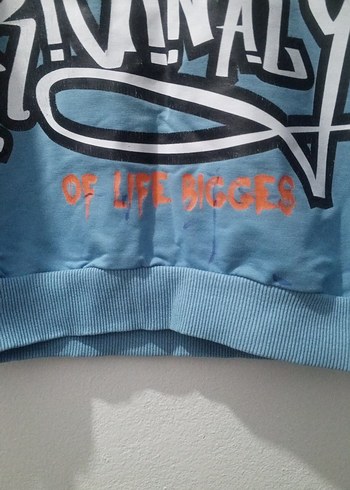 Mavi Baskılı Erkek Çocuk Sweatshirt - Görsel 3