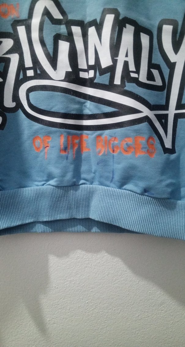 Mavi Baskılı Erkek Çocuk Sweatshirt - Görsel 3