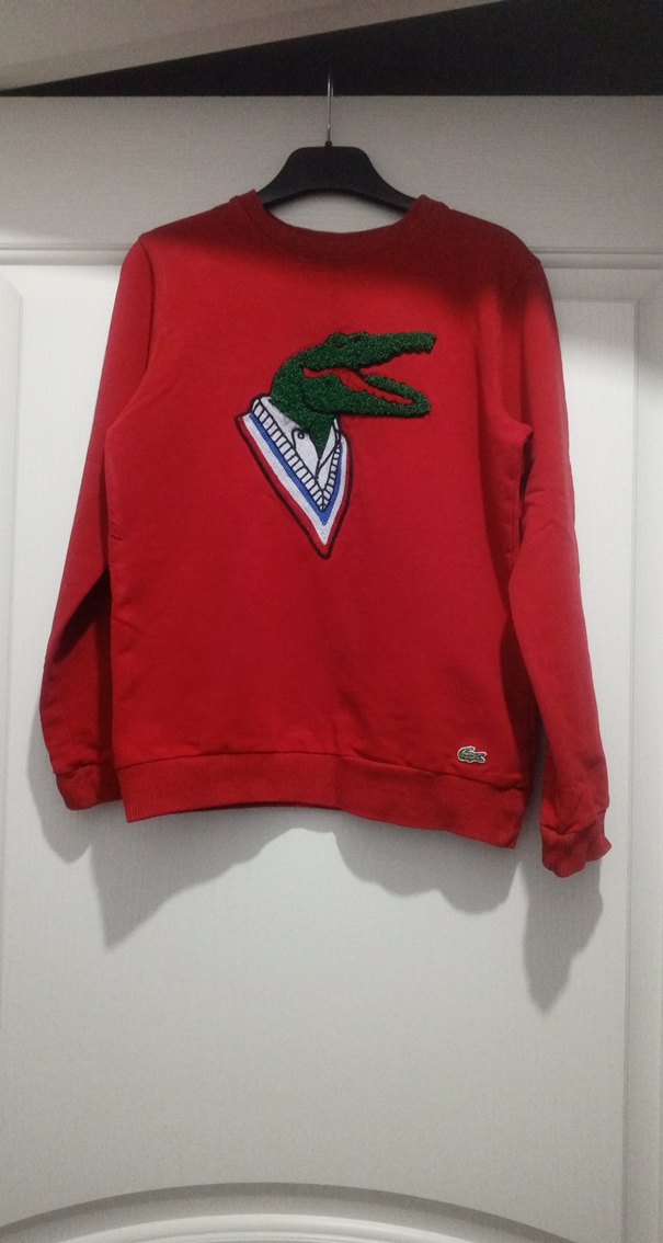 Kırmızı Nakışlı Erkek Sweatshirt - Görsel 4