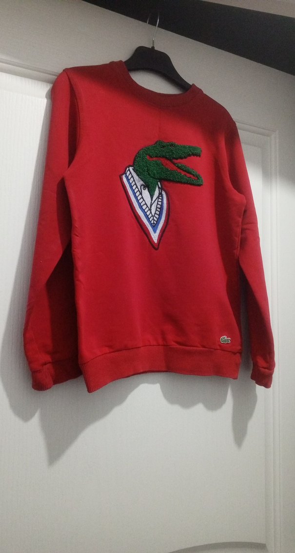 Kırmızı Nakışlı Erkek Sweatshirt - Görsel 5