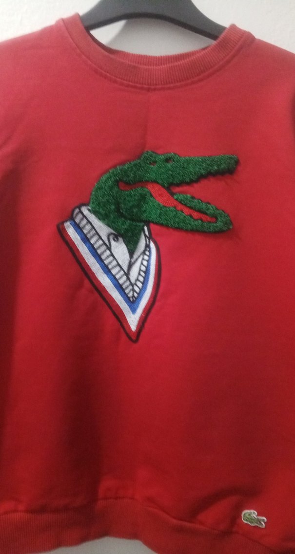 Kırmızı Nakışlı Erkek Sweatshirt - Görsel 2