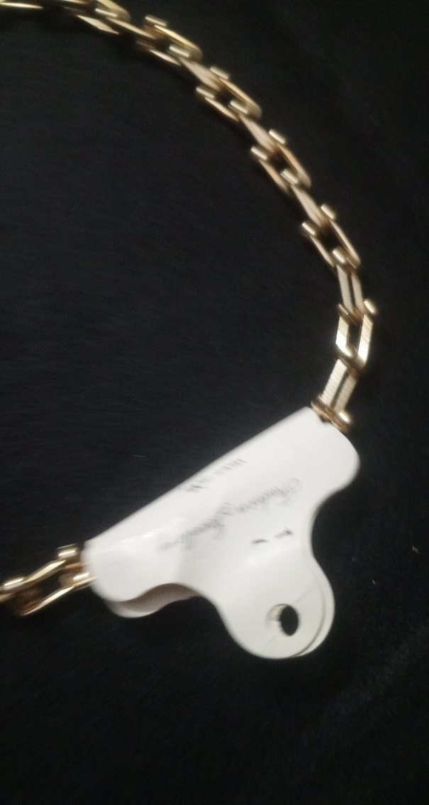 Altın Renk Zincir Detaylı Uzun Kolye - Görsel 3