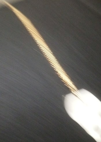 Zincir Detaylı Altın Rengi Yılan Desenli Bileklik - Görsel 2