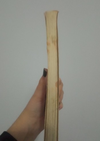 Yeraltından Notlar - Fyodor Dostoyevski - Görsel 3