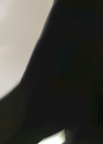 Siyah Kadın Sweatshirt, Bisiklet Yaka, Rahat Kesim - Görsel 3