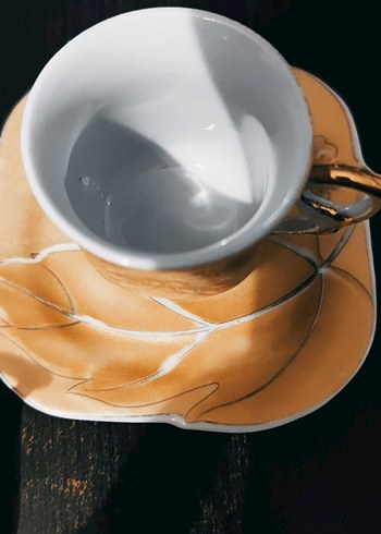 Bej Çiçek Desenli 4 Parça Kahve Fincanı ve Tabağı - Görsel 5