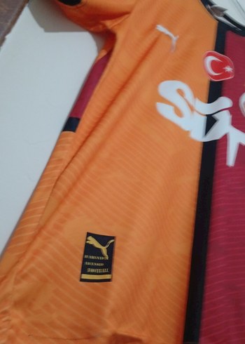 Galatasaray 24-25 Kısa Kollu Forma - Görsel 6