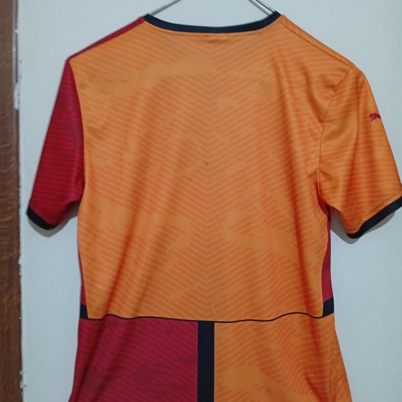 Galatasaray 24-25 Kısa Kollu Forma - Görsel 2