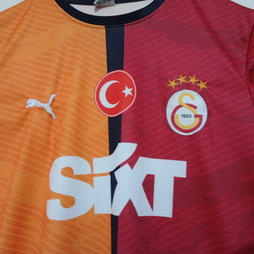 Galatasaray 24-25 Kısa Kollu Forma - Görsel 3