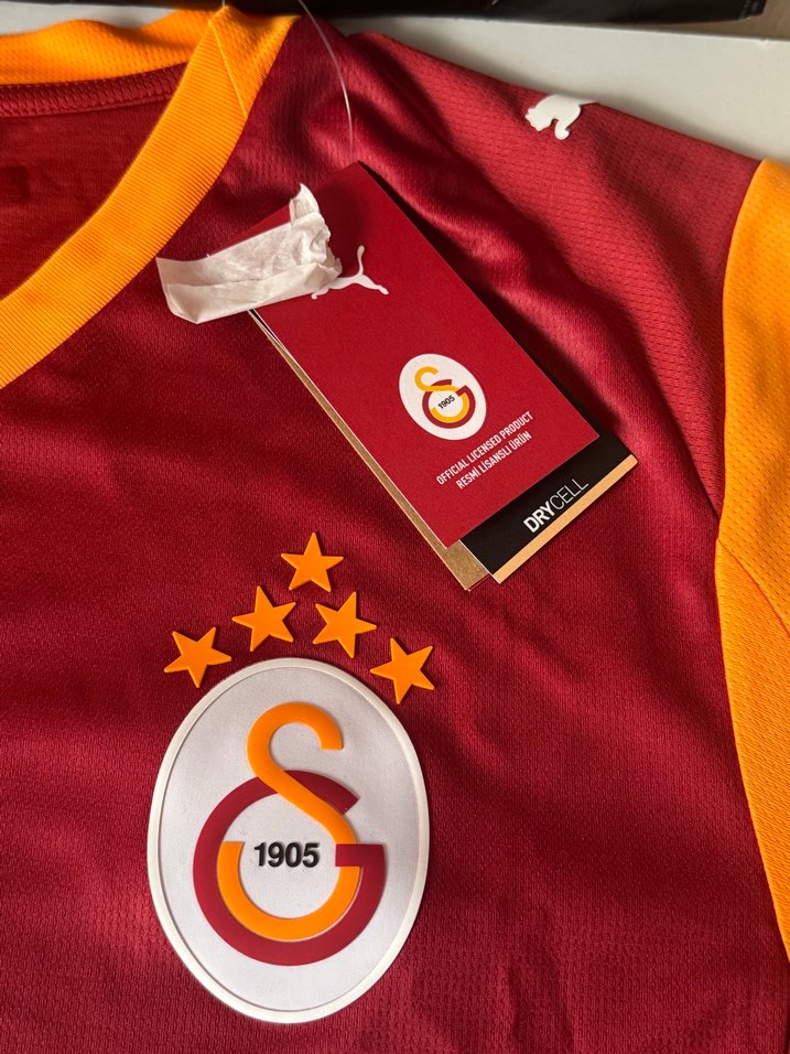 Galatasaray Erkek Renkli Kısa Kollu Forma - Görsel 4