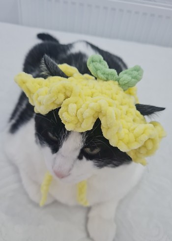 Sarı Örgü Kedi Şapkası limon - Görsel 2