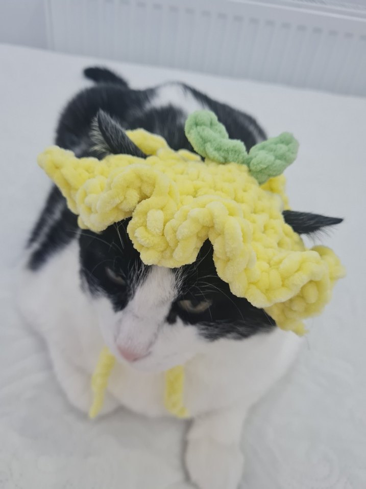 Sarı Örgü Kedi Şapkası limon - Görsel 2