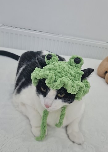 Sevimli Kurbağa Temalı Kedi Şapkası - Görsel 2