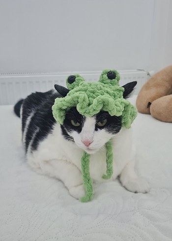 Sevimli Kurbağa Temalı Kedi Şapkası - Görsel 3