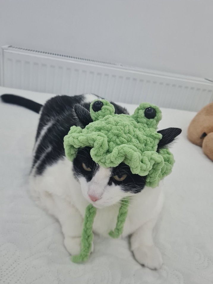 Sevimli Kurbağa Temalı Kedi Şapkası - Görsel 2