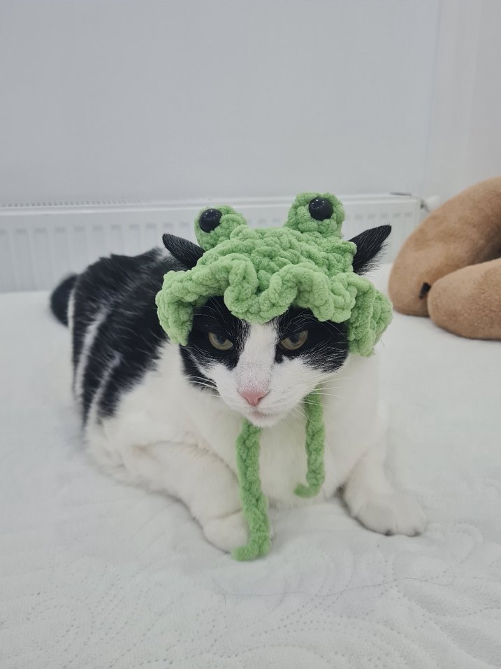 Sevimli Kurbağa Temalı Kedi Şapkası - Görsel 3