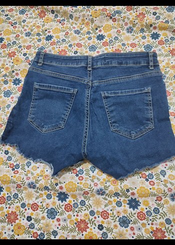 Kot Şort - Görsel 3