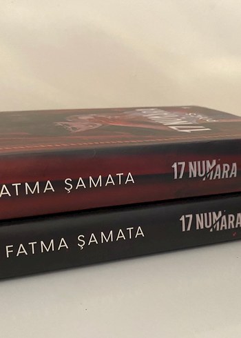 17 Numara Serisi - Katliam ve Piyes - Görsel 3