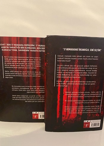 17 Numara Serisi - Katliam ve Piyes - Görsel 4