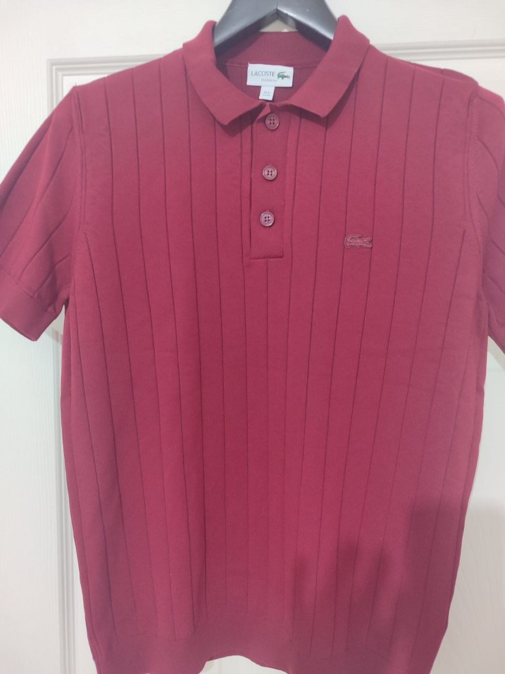 Bordo Düğmeli Erkek Polo Yaka Tişört - Görsel 2