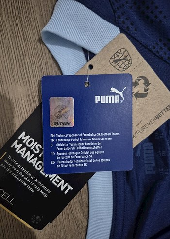 Orijinal fenerbahce formasi - Görsel 7