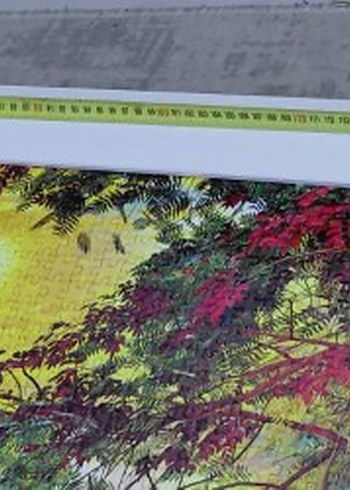 Renkli Doğa Temalı çerçeveli 4000 parça Puzzle - Görsel 7