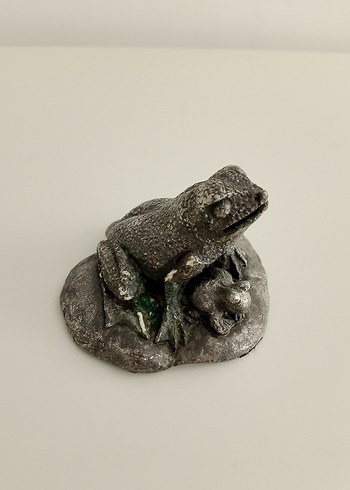 Gümüş kaplama kurbağa ve yavrusu - Görsel 8