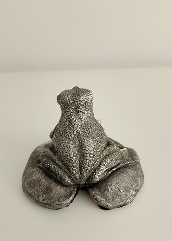 Gümüş kaplama kurbağa ve yavrusu - Görsel 4